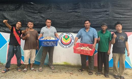 Hasil tuaian cendawan tiram